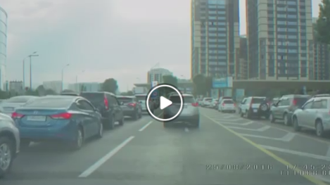 Видео со страусом оказалось вирусной рекламой банка