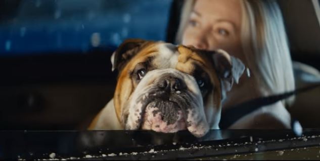 Рекламный ролик собрал в пробке звёзд и… бульдога