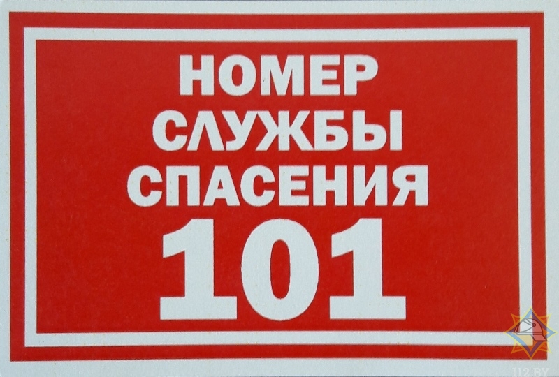 Картинки 101 для детей