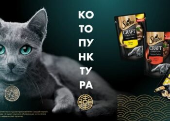 SHEBA и ваша кошка изобрели Котопунктуру