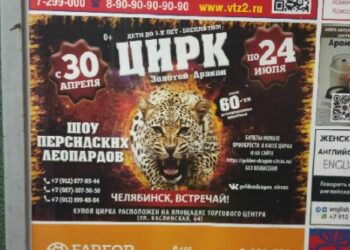 Антимонопольщиков заинтересовали певица и шоу леопардов