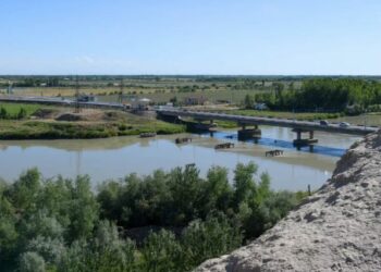 Природа, история, культура – и всё в одном логотипе