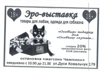 Плюшевый мишка как отвлекающий манёвр?