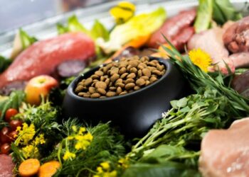 Среди задач агентства – повышения узнаваемости бренда