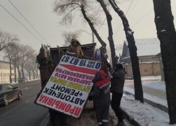 Рекламные тексты проверили на грамотность