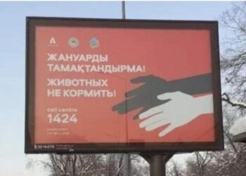 Алматинцы намёк не поняли