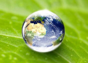 Эксперты АРИР объяснят, как бороться с коммерческим псевдоэкологизмом