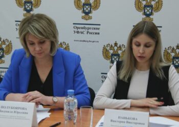 Оренбургские антимонопольщики обратились к экспертам