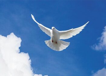 Году мира и созидания придумают логотип