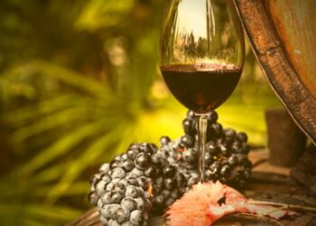 Винный туризм станет законным