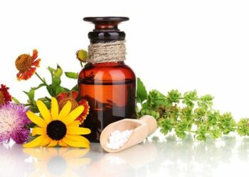 Насколько полезен «микродозинг мухомора»?