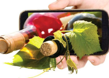 Антимонопольщики напоминают: законодатель жёстко отрегулировал распространение рекламы алкоголя