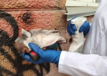 Отмыли от незаконной рекламы