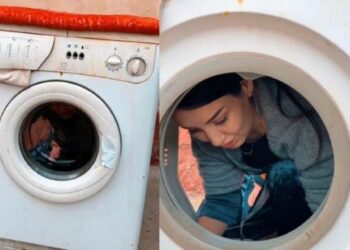 Это сатира или пропаганда дискриминации?