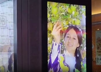 Немецких туристов зовут в Узбекистан