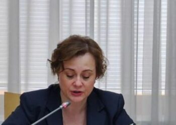 В Госдуме обсудили алгоритмы профилактики преступной манипуляции сознанием