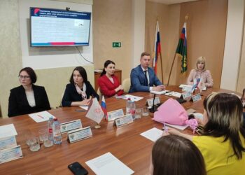 Членам общественных советов рассказали о работе по пресечению незаконной установки и эксплуатации рекламных конструкций