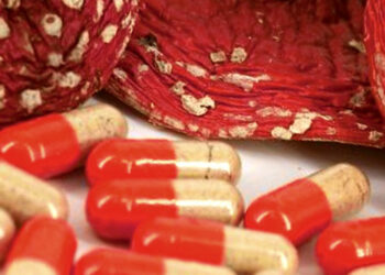 В Казани выявили рекламу БАДа на основе… мухомора