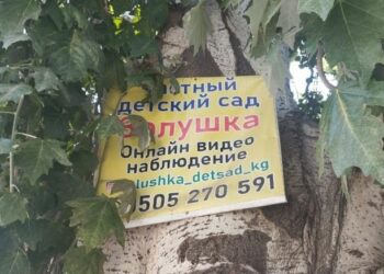 Деревья – не место для рекламы…