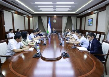 Сенаторы оценили национальный контент в интернете