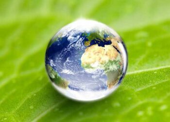 Экологические заявления должны соответствовать принципам достоверности и ясности