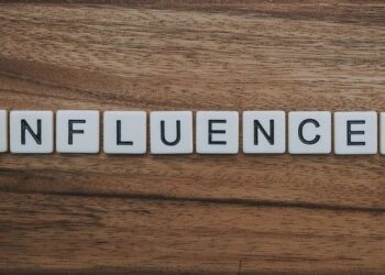 Блогеры вышли «из тени»: в 2024 году они выплатили больше налогов с рекламы