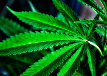 Ужесточена борьба с рекламой наркотиков