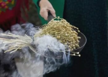 Список услуг, которые нельзя рекламировать