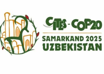 Логотип как символ приверженности сохранению ценных диких видов флоры и фауны