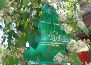 Из 700 работ выбрали 17