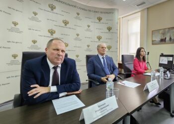 Петербургских «общественников» познакомили с показателями